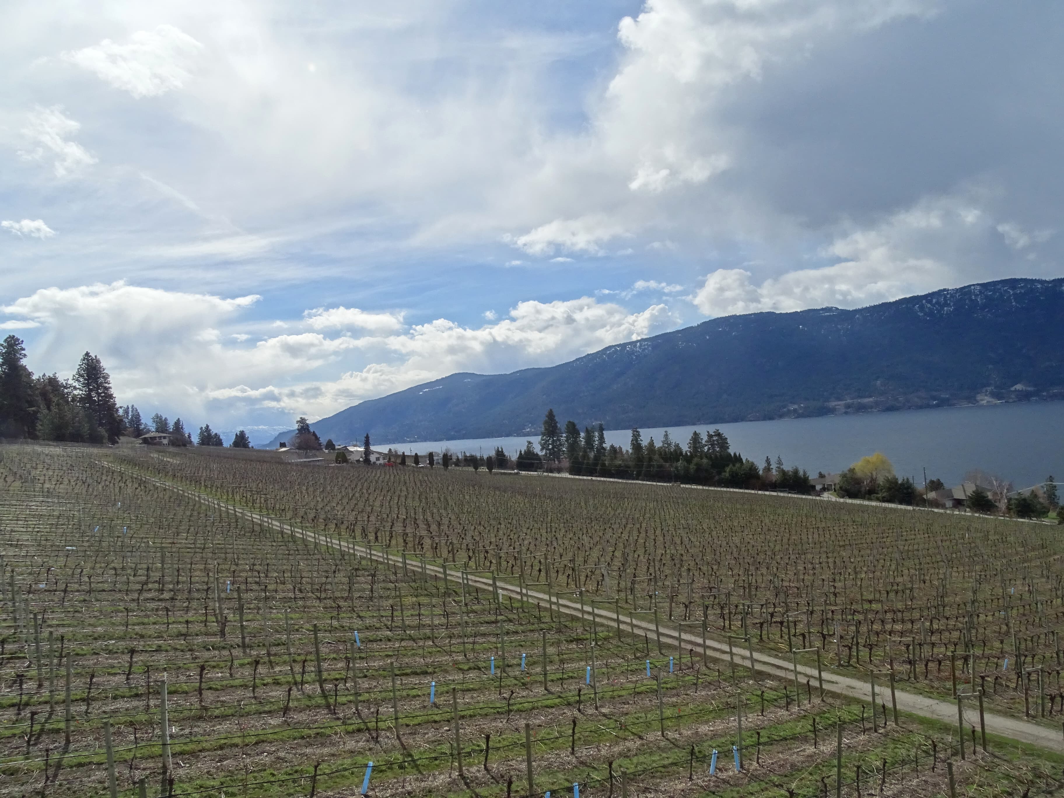 Kelowna residential architecture