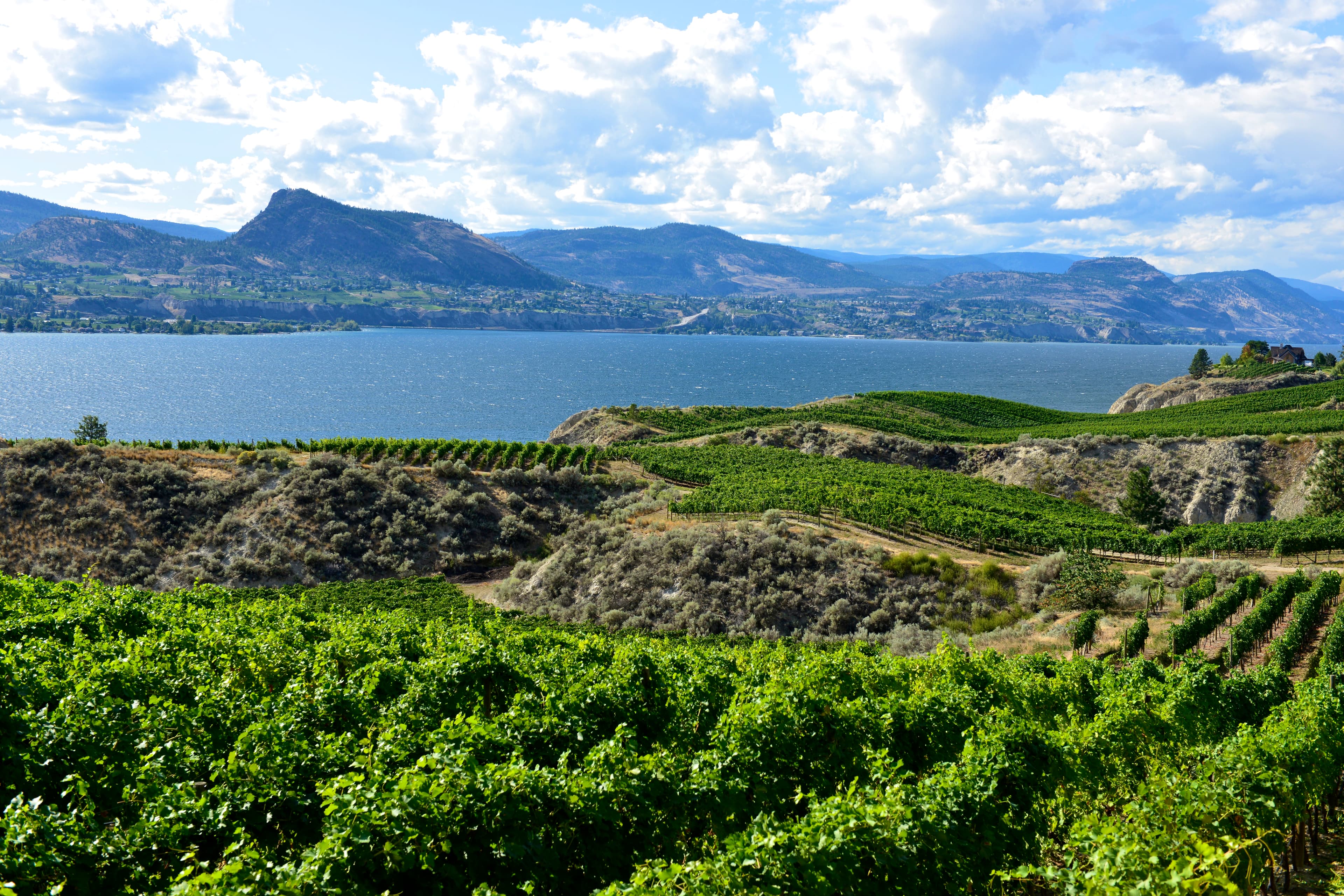 Naramata residential architecture