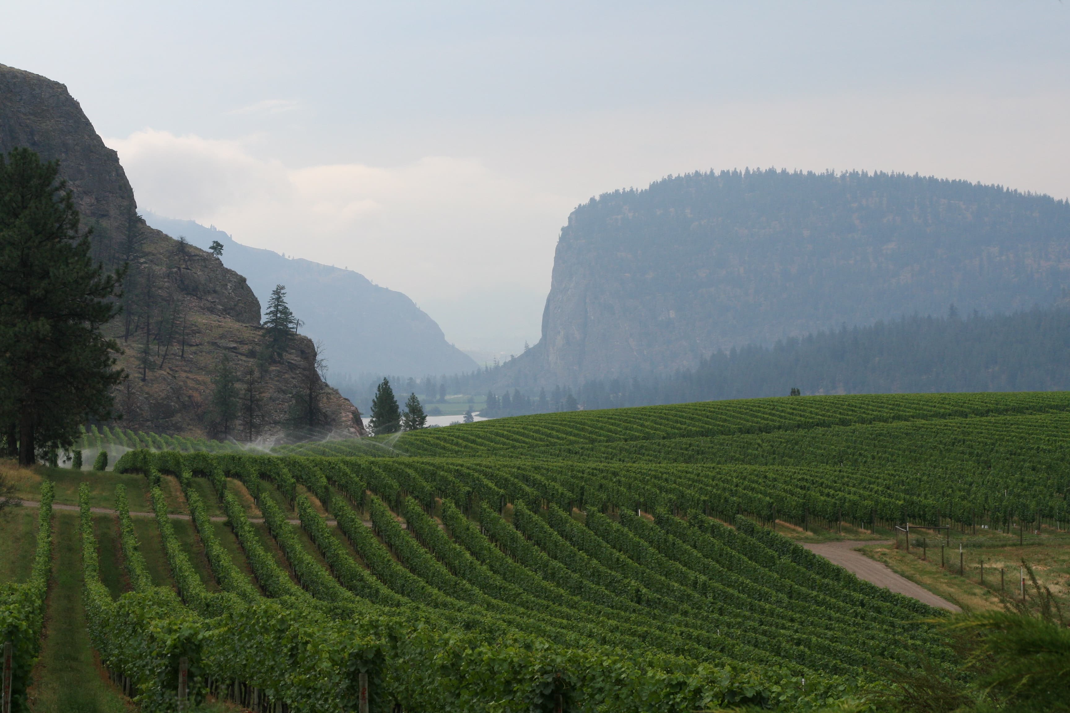 Okanagan Falls residential architecture