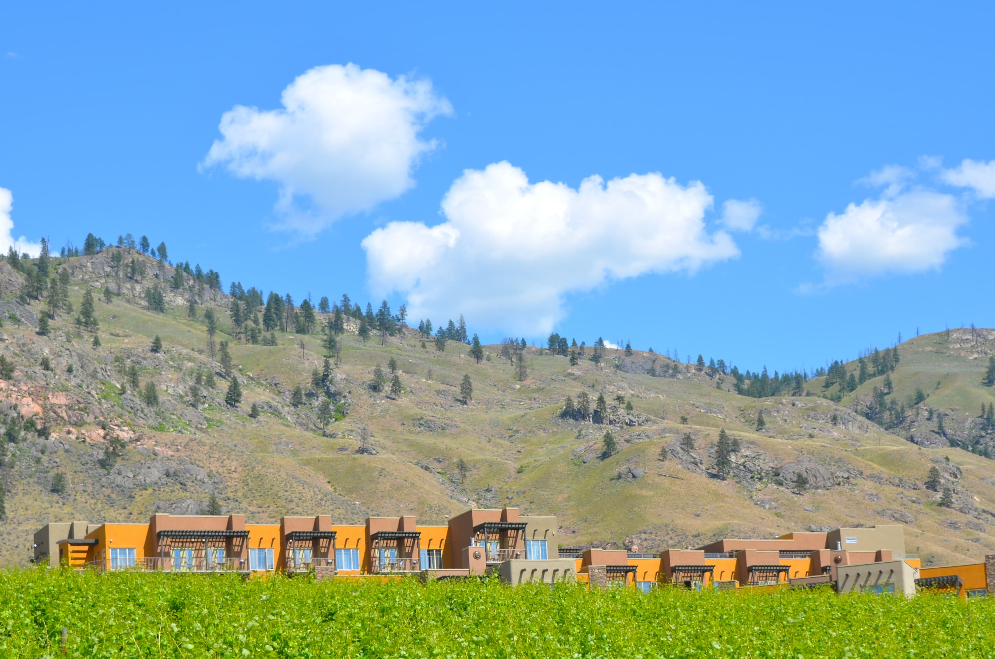 Osoyoos homes