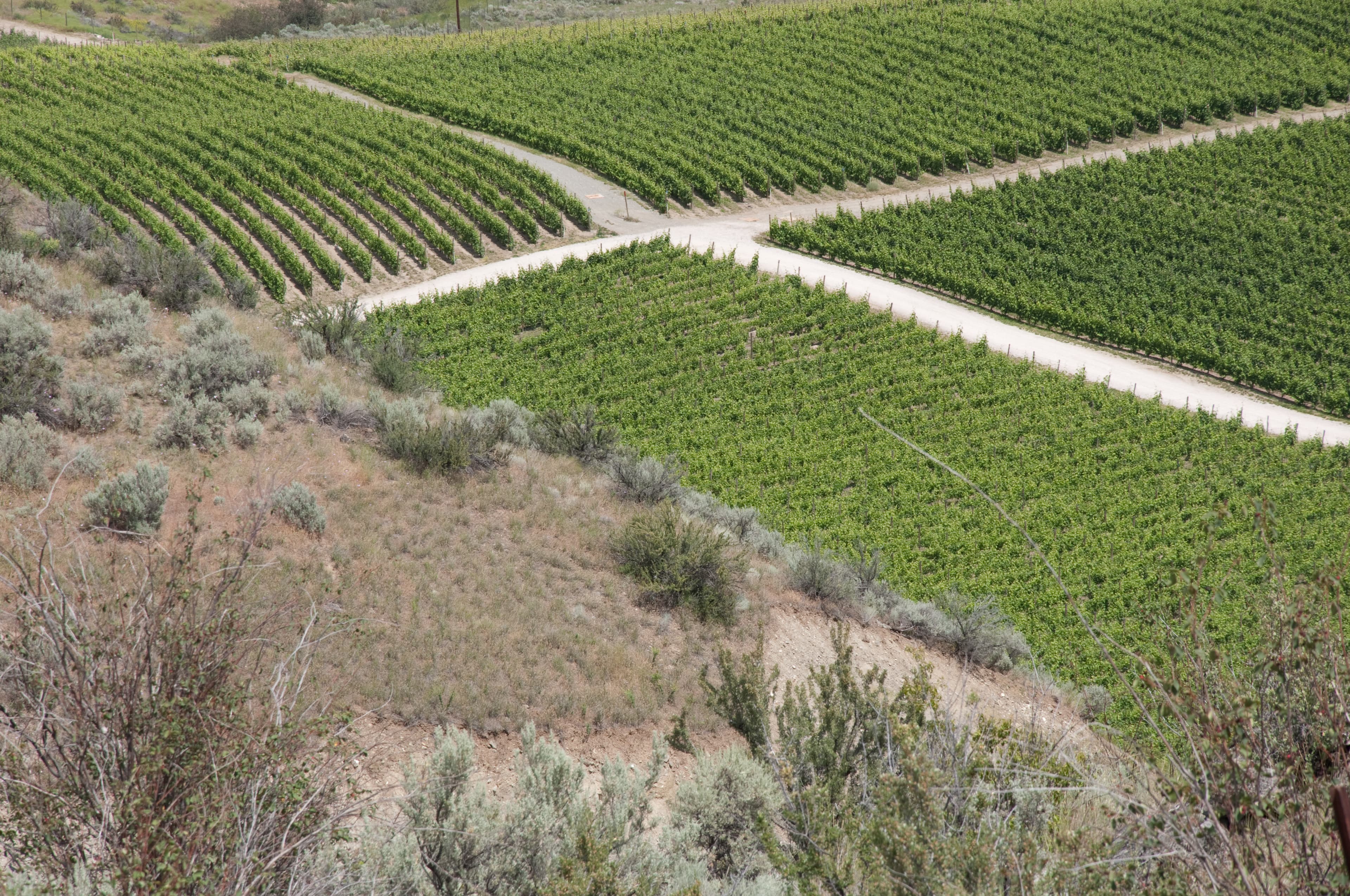 Osoyoos terrain