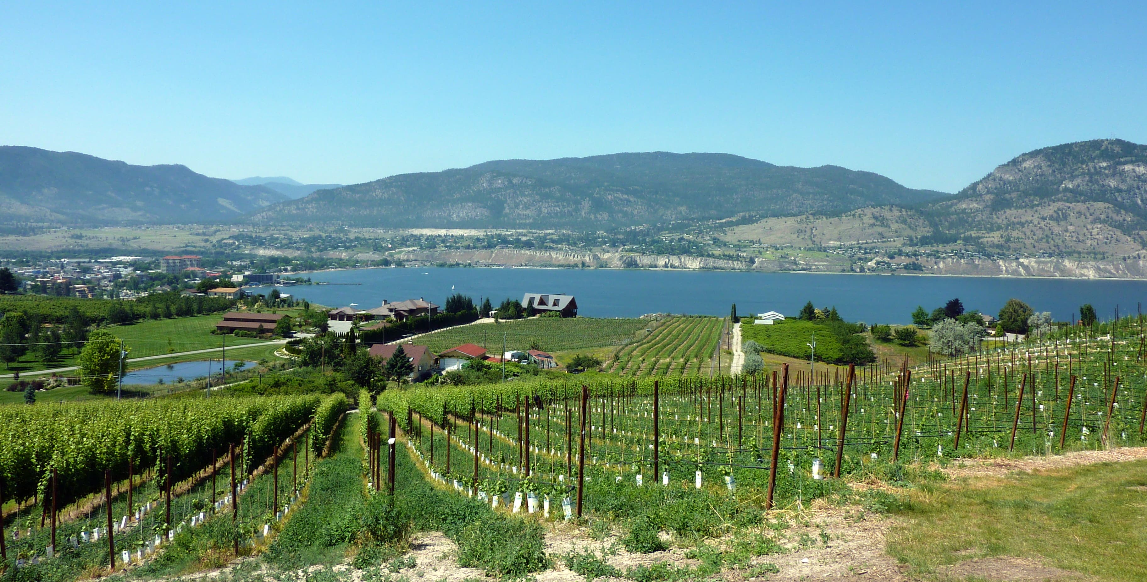 Summerland residential architecture